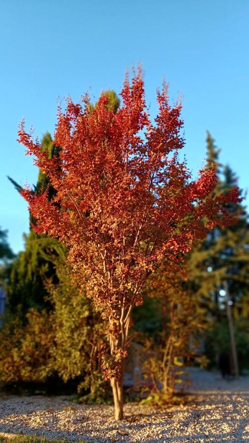 Le Gite Tilia Sablet 外观 照片