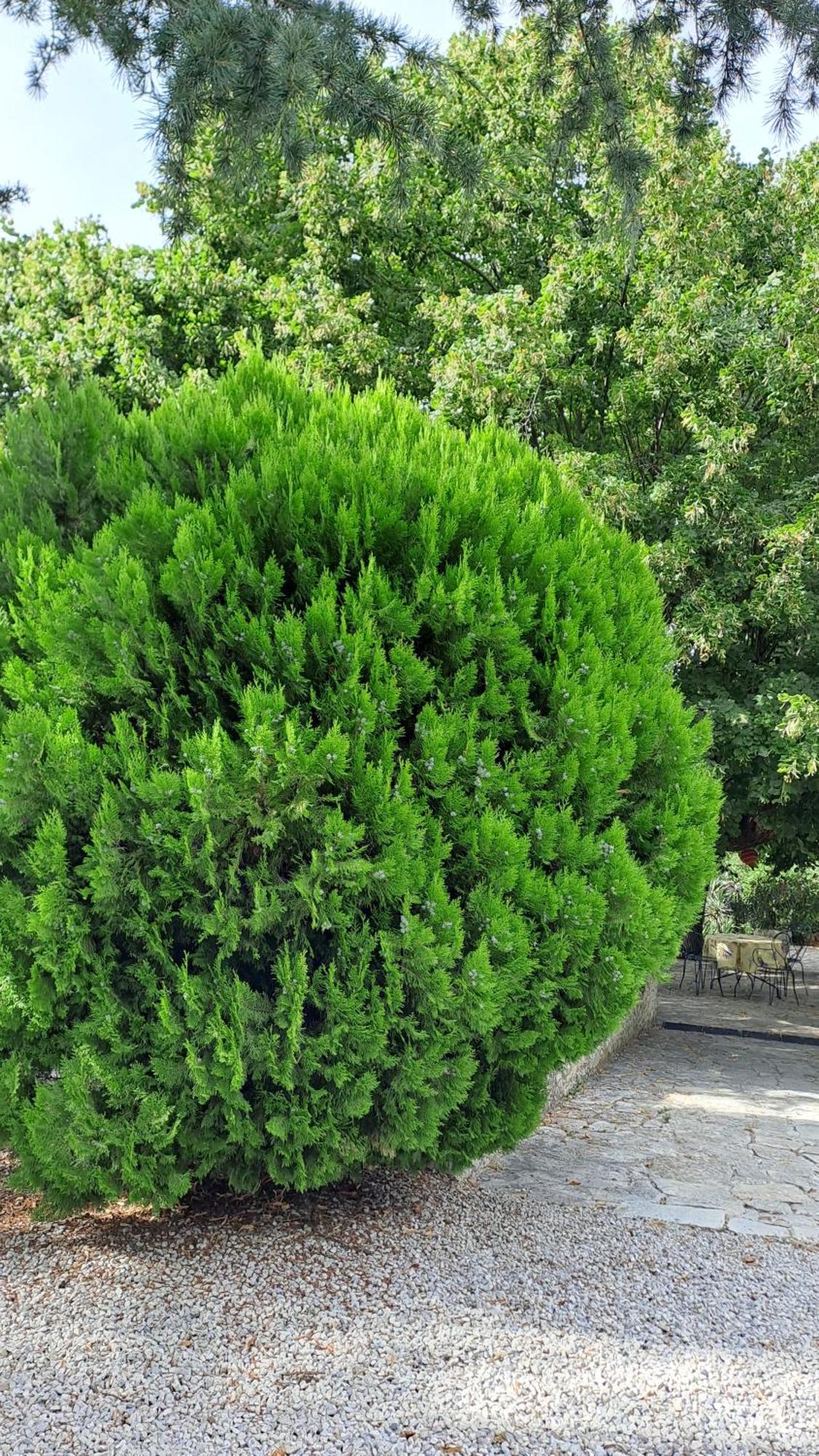 Le Gite Tilia Sablet 外观 照片