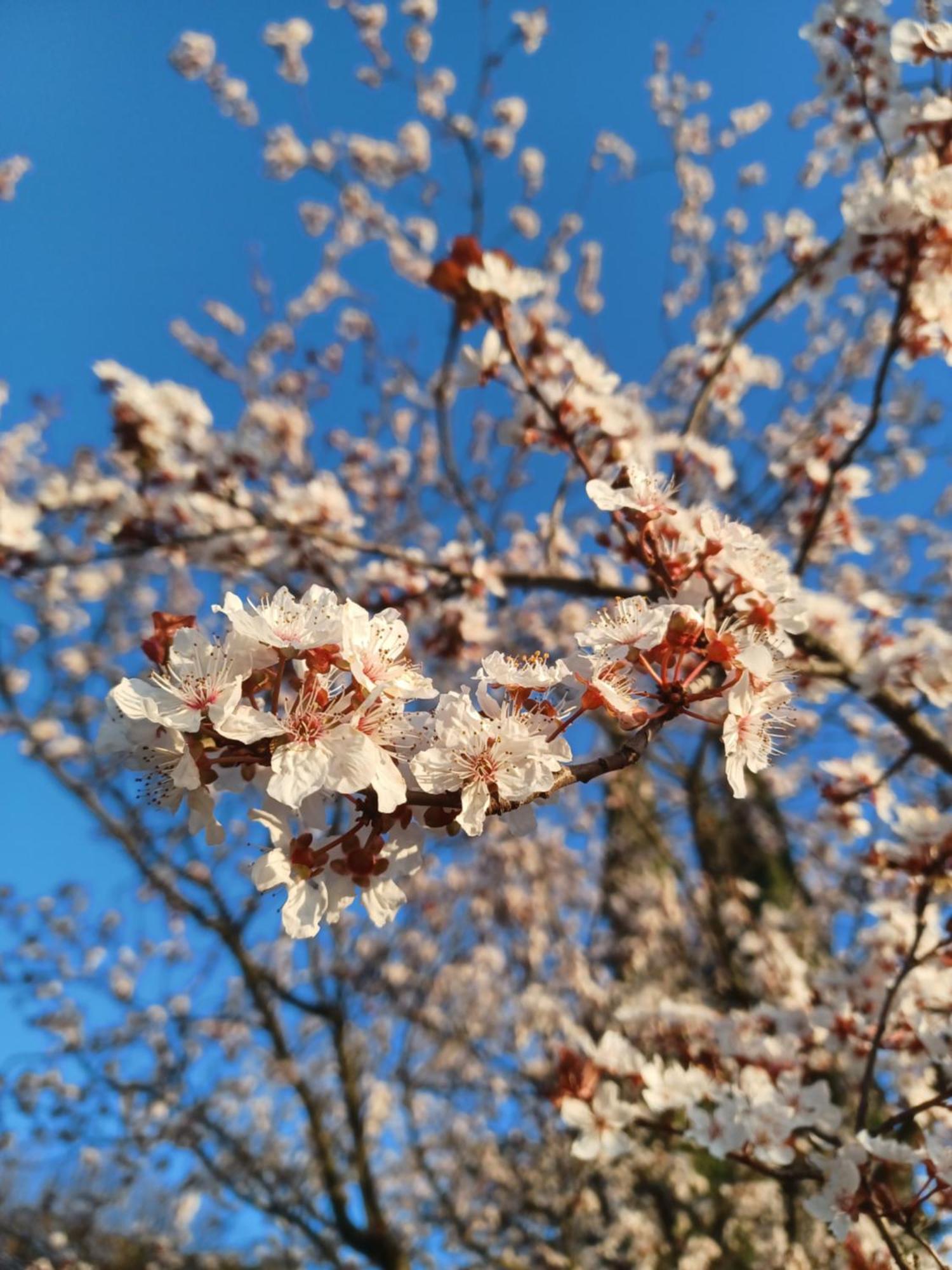 Le Gite Tilia Sablet 外观 照片